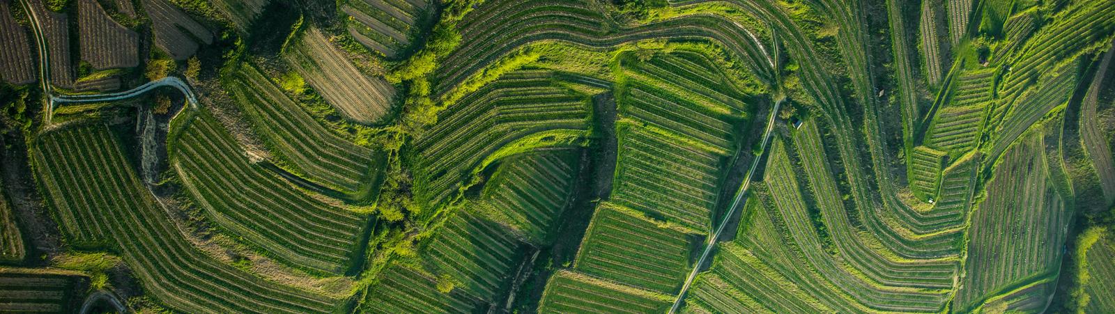 Bannerbild Präsentationen
