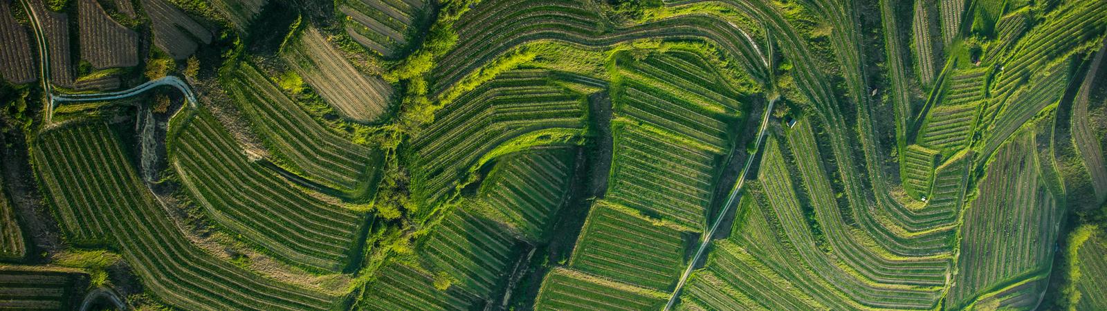 [Translate to English:]